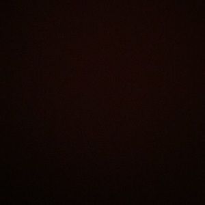 Meet your Posher, Talia